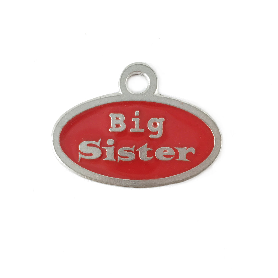 AT84-Big Sister Pet Tag